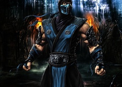 Mortal kombat : sub zero