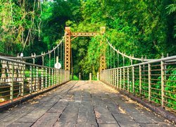 Most Blanchisseuse Spring Bridge