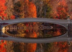 Stany Zjednoczone, Nowy Jork, Central Park, Jesień, Most, Bow Bridge, Jezioro, Drzewa, Odbicie