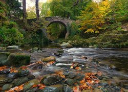 Most Foleys Bridge na rzece Shimna w Tollymore Forest Park