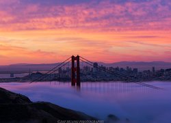 Most Golden Gate, Cieśnina Golden Gate, San Francisco, Kalifornia, Stany Zjednoczone, Mgła, Wschód słońca