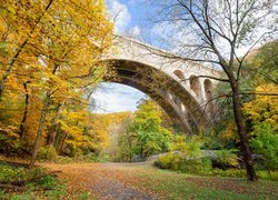 Most, Henry Avenue Bridge, Drzewa, Jesień, Filadelfia, Stan Pensylwania, Stany Zjednoczone