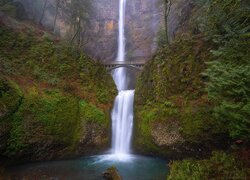 Most i drzewa na skałach przy wodospadzie Multnomah Falls w Oregonie