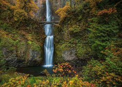 Wodospad, Multnomah Falls, Most, Skały, Drzewa, Hrabstwo Multnomah, Oregon, Stany Zjednoczone