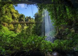 Most i wodospad Crystal Fall w Parku Narodowym Dorrigo