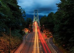 Most, Lions Gate Bridge, Noc, Światła, Drzewa, Vancouver, Kanada