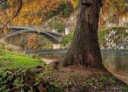 Most łukowy Craigellachie Bridge nad rzeką Spey w Szkocji