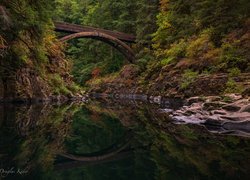 Most Moulton Falls Bridge nad rzeką Lewis River