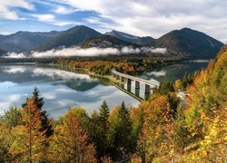 Niemcy, Bawaria, Góry, Jezioro Sylvensteinsee, Most, Drzewa, Jesień, Mgła