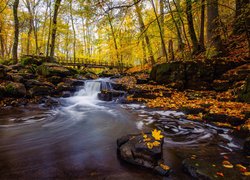 Most nad rwącą rzeką w jesiennym lesie