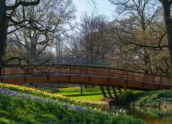 Park, Rzeka, Most, Kwiaty, Kaczki, Drzewa, Wiosna