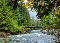 Drzewa, Las, Rzeka Cayoosh Creek, Most, Kamienie, Kolumbia Brytyjska, Kanada