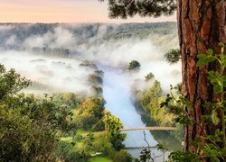 Most nad rzeką Neckar i zamglone winnice w Hessigheim