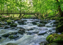 Most nad rzeką płynącą po omszałych kamieniach w lesie