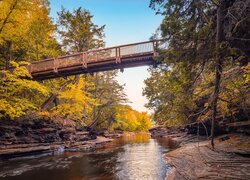 Stany Zjednoczone, Michigan, Rzeka, Presque Isle River, Most, Drzewa, Jesień