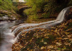 Anglia, Kumbria, Rzeka River Gelt, Las, Drzewa, Most