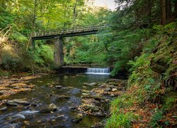 Most nad rzeką River Neb na wyspie Man