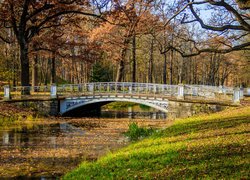 Most nad rzeką w jesiennym parku