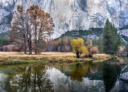 Most nad rzeką w Narodowym Parku Yosemite