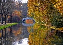 Most nad rzeką wśród drzew w jesiennych barwach