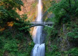 Wodospad, Multnomah Falls, Skały, Drzewa, Most, Zieleń, Oregon, Hrabstwo Multnomah, Stany Zjednoczone