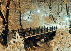 Drzewa, Most, Park, Most, Zima, Śnieg