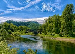 Stany Zjednoczone, Idaho, Rzeka, St Joe River, Most, Railroad Bridge, Drzewa