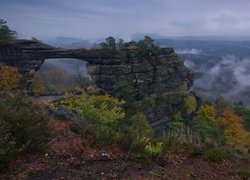 Góry Połabskie, Skała, Most skalny, Brama Pravcicka, Rośliny, Drzewa, Park Narodowy Czeska Szwajcaria, Czechy