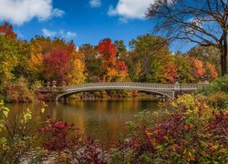 Jesień, Nowy Jork, Manhattan, Central Park, Drzewa, Jezioro, Most, Stany Zjednoczone