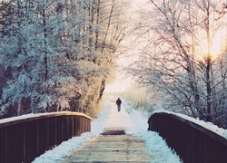 Most w pięknej zimowej szacie z mężczyzną w tle