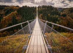 Jesień, Most wiszący Geierlay, Drzewa, Góry Hunsruck, Wzgórza, Sosberg, Nadrenia-Palatynat, Niemcy