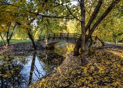Mostek i drzewa nad rzeczką w jesiennym parku