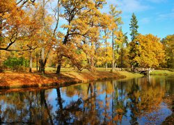 Jesień, Park, Drzewa, Pożółkłe, Liście, Niebo, Staw, Odbicie, Mostek, Słoneczny, Dzień