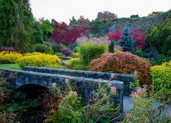 Mostek i kolorowe rośliny w parku