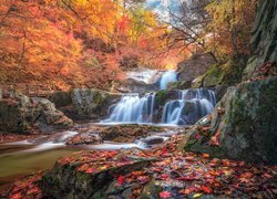 Wodospad, Rzeka, Skały, Jesień, Drzewa, Liście, Mostek