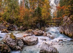 Mostek na kamienistą rzeką w jesiennym lesie