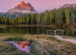 Jezioro, Antorno Lake, Mostek, Góry, Dolomity, Masyw, Tre Cime di Lavaredo, Drzewa, Trawa, Prowincja Belluno, Włochy