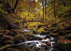 Mostek nad kamienistym potokiem w jesiennym lesie