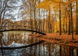 Holandia, Prowincja Geldria, Gmina Brummen, Posiadłość Huis Voorstonden, Park, Staw, Jesień, Mostek