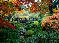 Mostek nad strumieniem wśród jesiennych drzew w ogrodzie