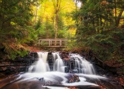 Las, Wodospad Chapel Falls, Jesień, Mostek, Park Narodowy Pictured Rocks National Lakeshore, Miejscowość Munising, Stan Michigan, Stany Zjednoczone