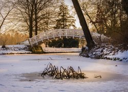 Zima, Park Worlitz, Saksonia-Anhalt, Niemcy, Drzewa, Zaśnieżony, Staw, Mostek