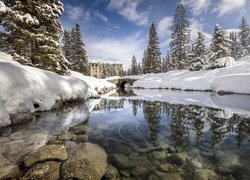 Kanada, Prowincja Alberta, Park Narowy Banff, Miejscowość Lake Louise, Jezioro Louise, Hotel Chateau Lake Louise, Zima, Rzeka, Most, Kamienie, Ośnieżone, Świerki