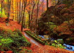 Jesień, Las, Rzeka, Skały, Mostek, Drzewa, Roślinność, Liście