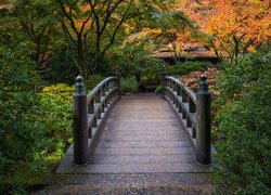 Ogród japoński, Drzewa, Krzewy, Jesień, Portland Japanese Garden, Portland, Oregon, Stany Zjednoczone, Mostek