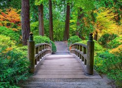 Stany Zjednoczone, Oregon, Portland, Portland Japanese Garden, Ogród, Drzewa, Krzewy, Mostek