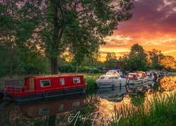 Wschód słońca, Rzeka, Chelmer River, Śluza, Motorówki, Drzewa, Lato, Maldon Essex, Anglia