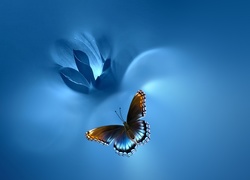 Motyl i niebieski kwiat w grafice
