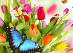 Motyle na bukiecie tulipanów