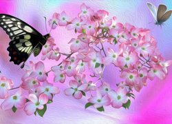 Kwiaty, Motyle, Kolorowe tło, Grafika